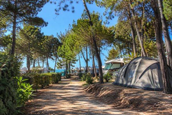 Les campings à découvrir en Charente-Maritime pour vos vacances !